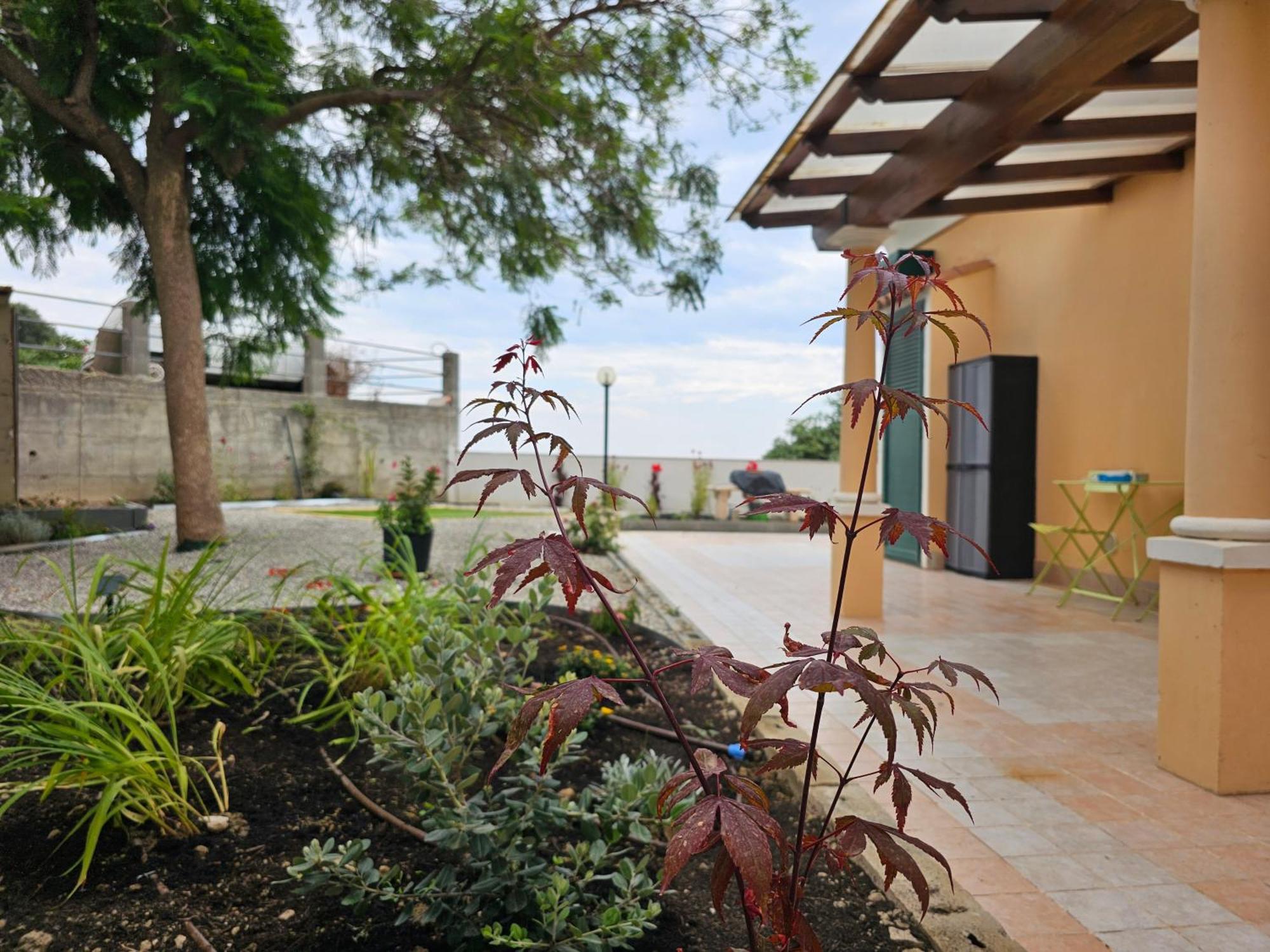 Avocado Villa Ventimiglia Luaran gambar